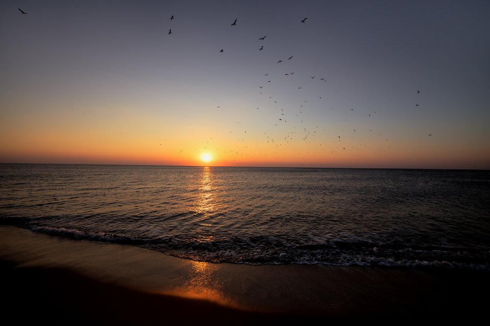 Photograph by Рут Андрей