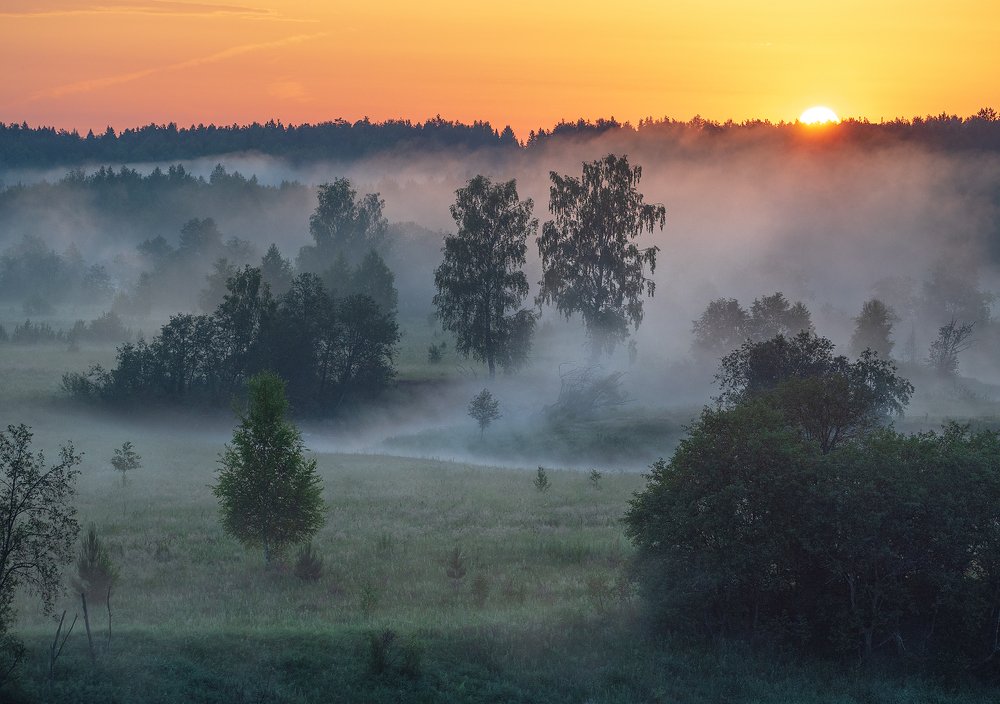Вот и солнце!