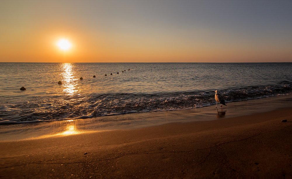 Photograph by Рут Андрей