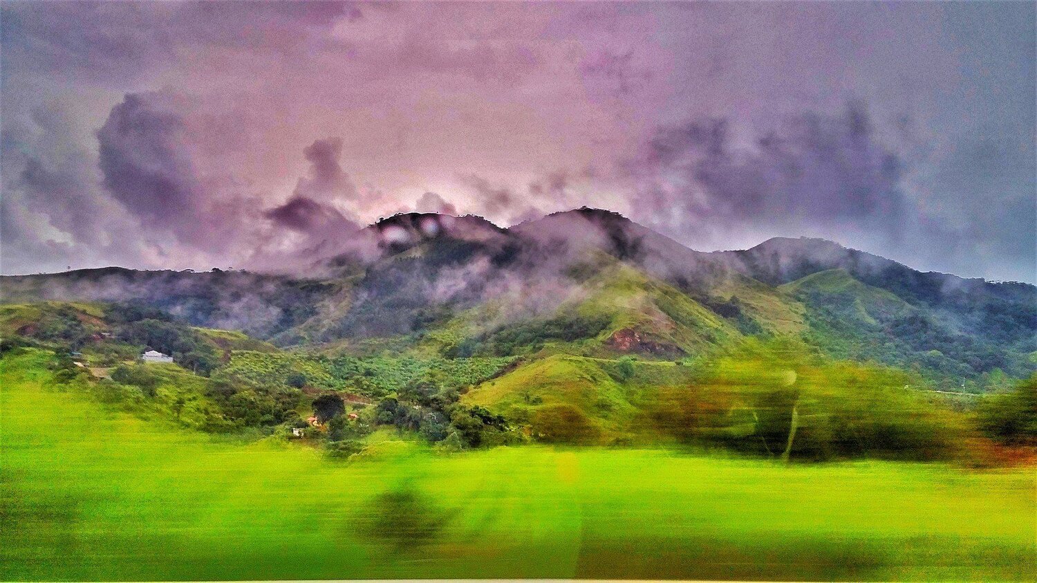 Purple mountains