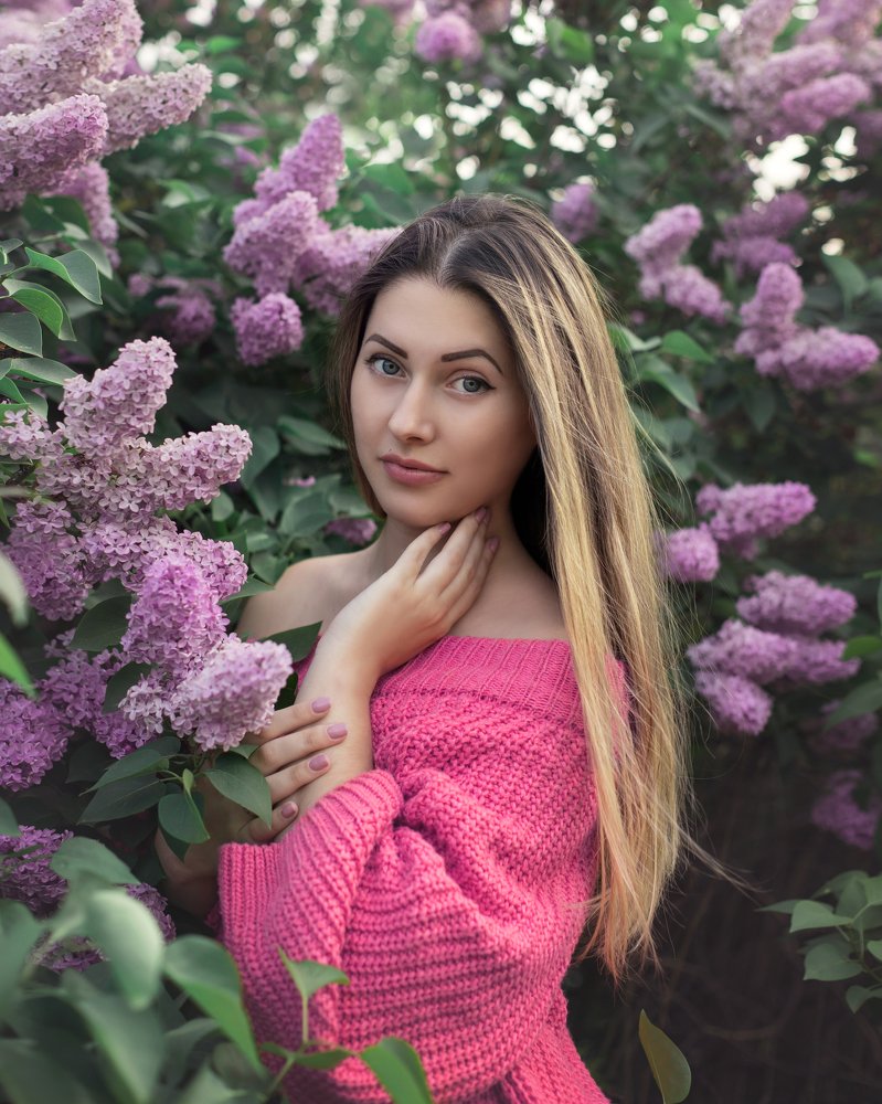 когда цветет сирень