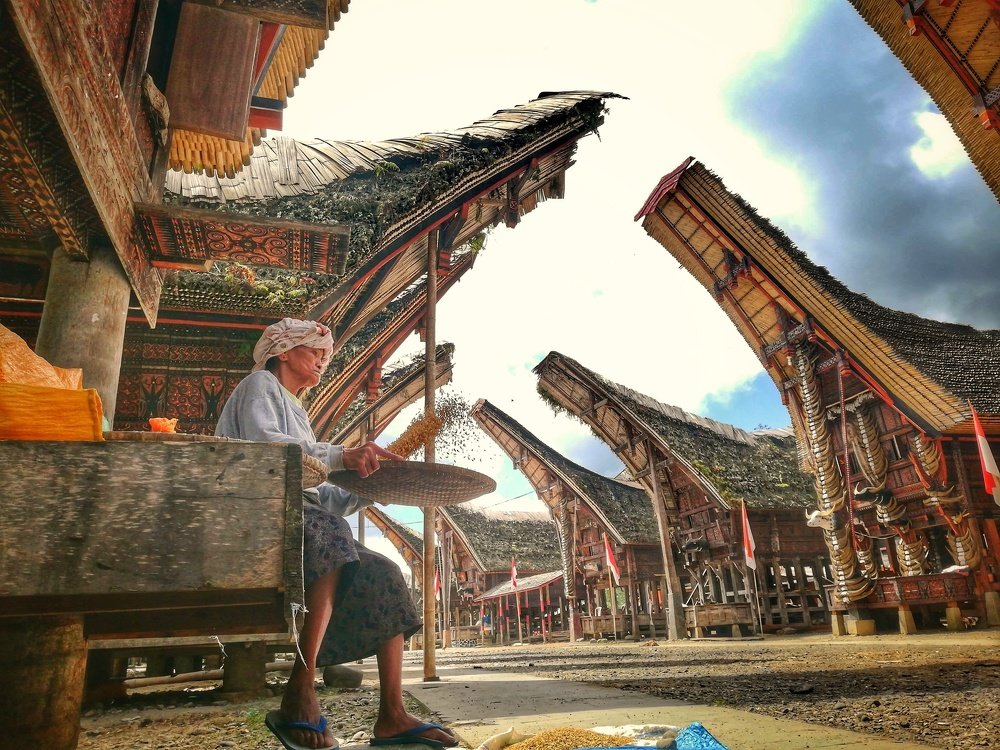 Grain filter grandmother