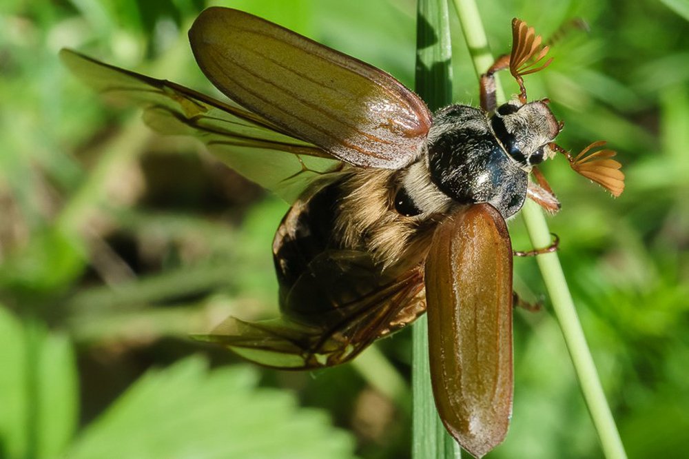 Команда на взлет