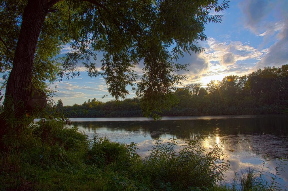 Кондома река