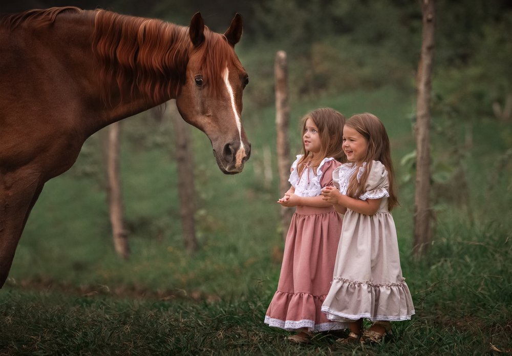 Гигантский друг