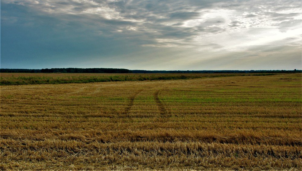 ...Give them hope give them strength give them to live...