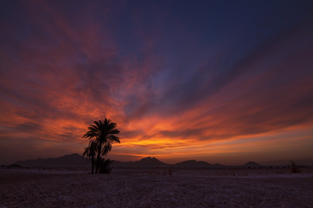 Photograph by hamed moradi