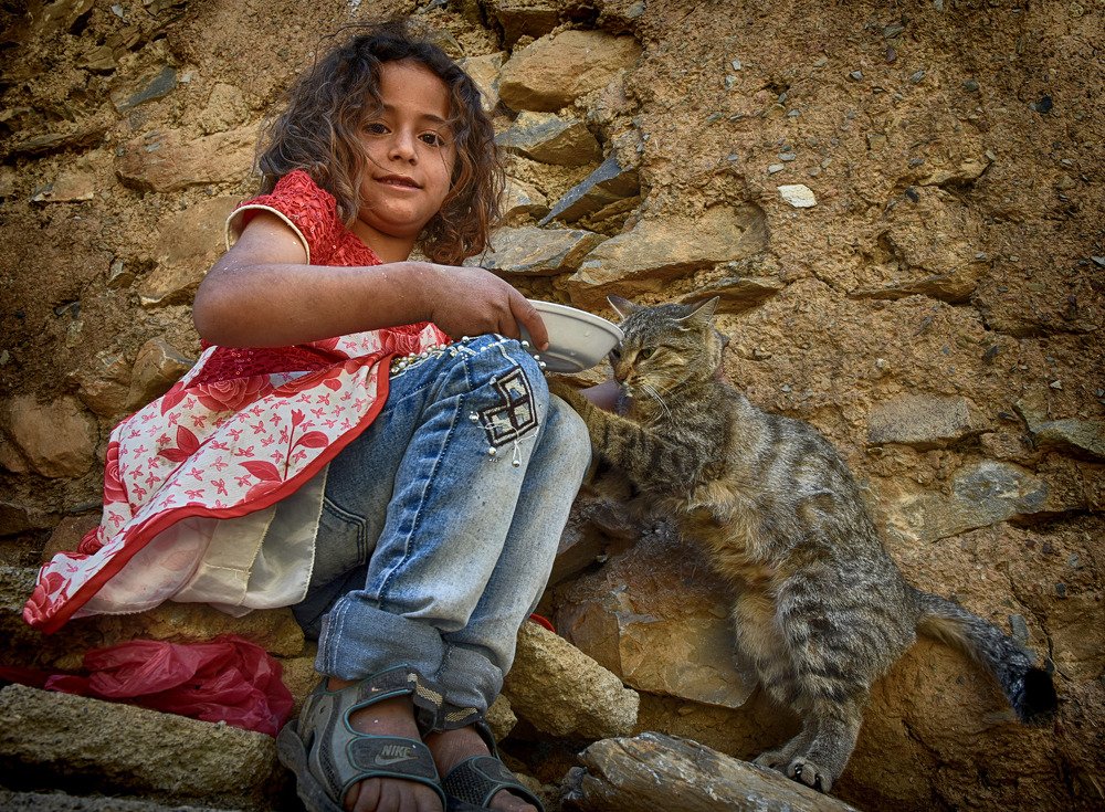 Friendship with the cat2