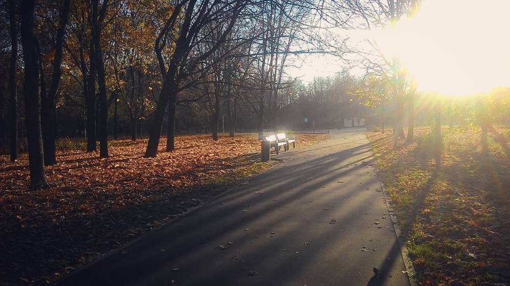 Свет ноября