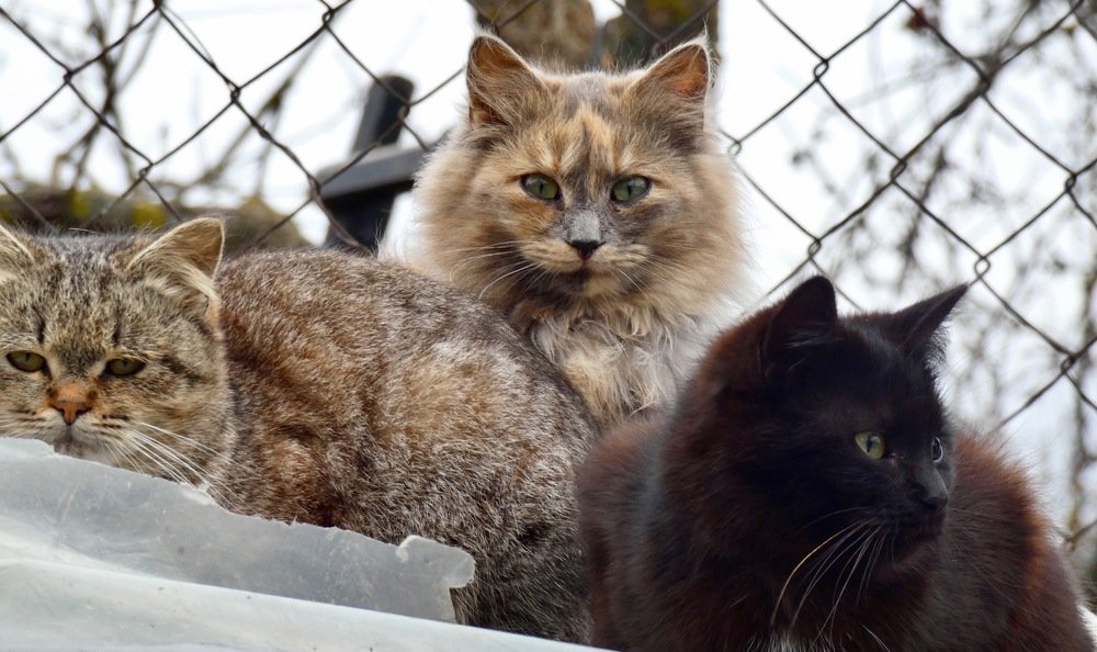 Photograph by Александр Осмоловский