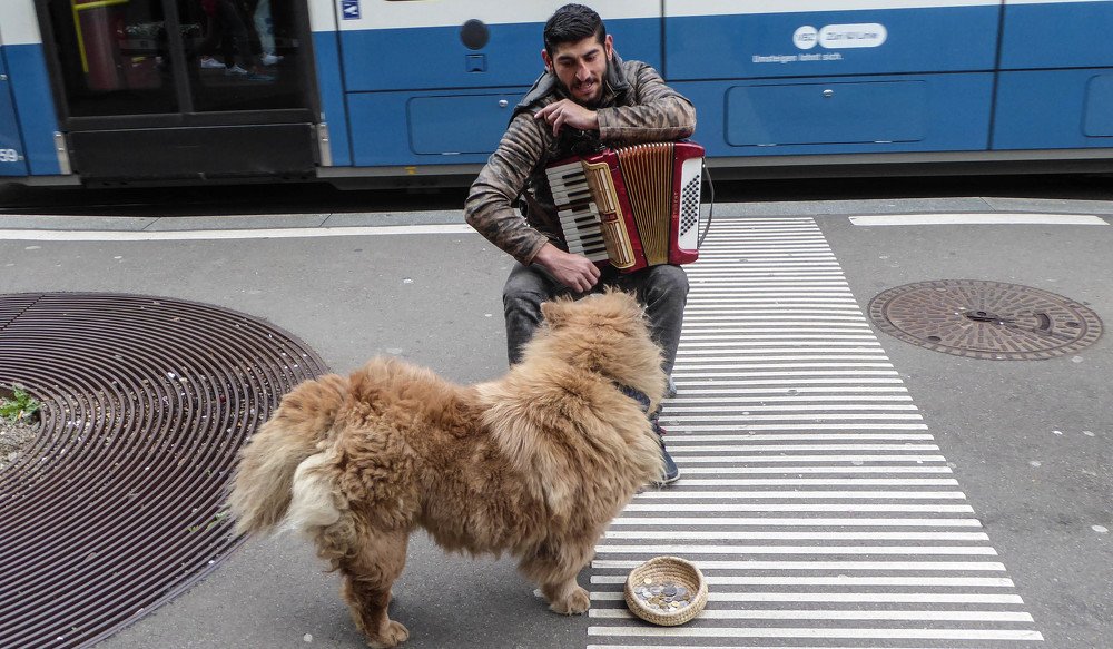 Photograph by Meier Zorica