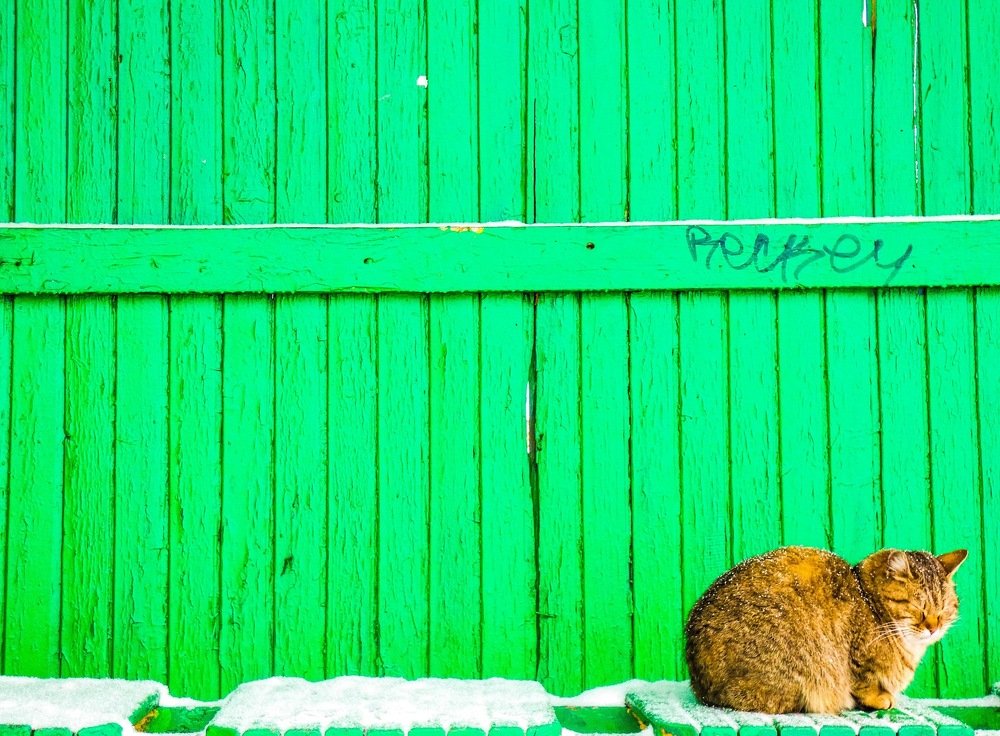 Photograph by Александр Осмоловский