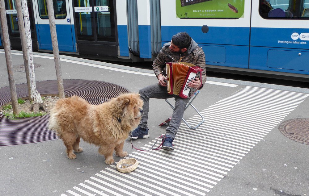 Photograph by Meier Zorica
