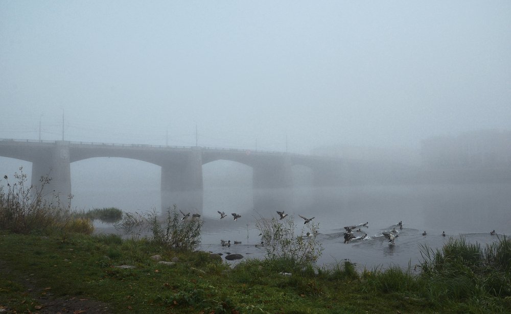 Photograph by Вячеслав Сорокин