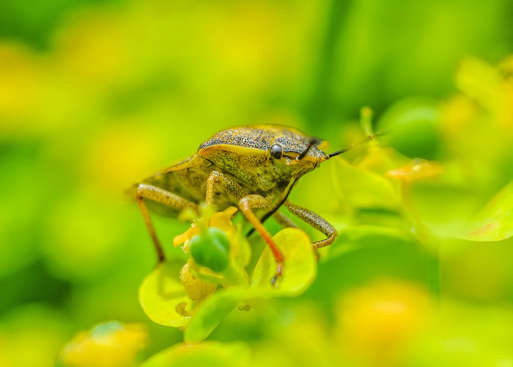 Photograph by Олеся zme