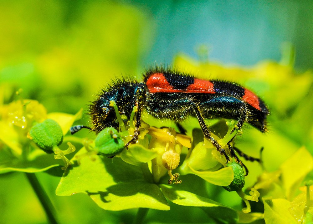 Photograph by Олеся zme