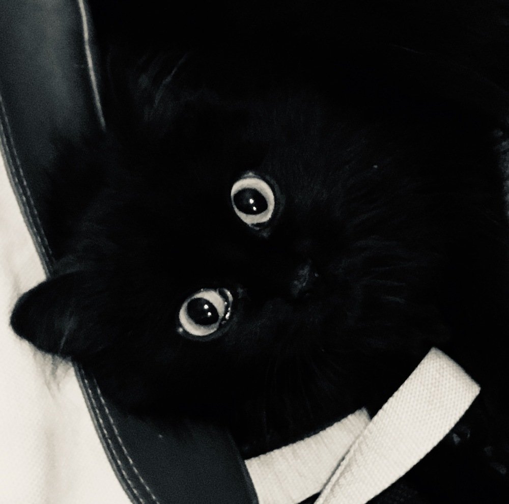 Взгляд темноты