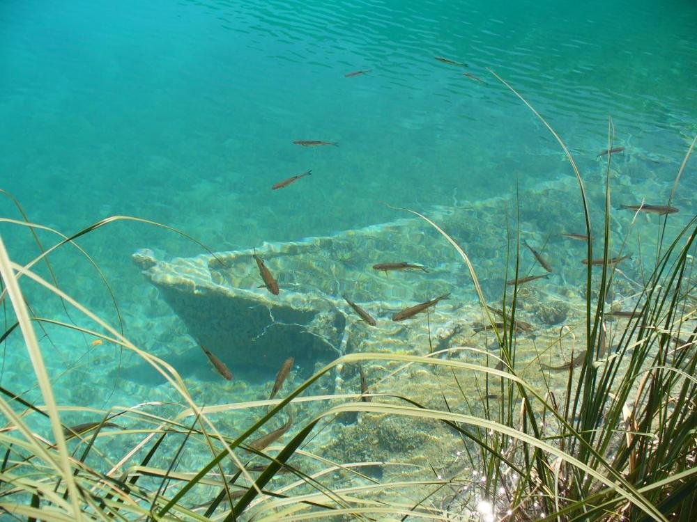 Тайны озера