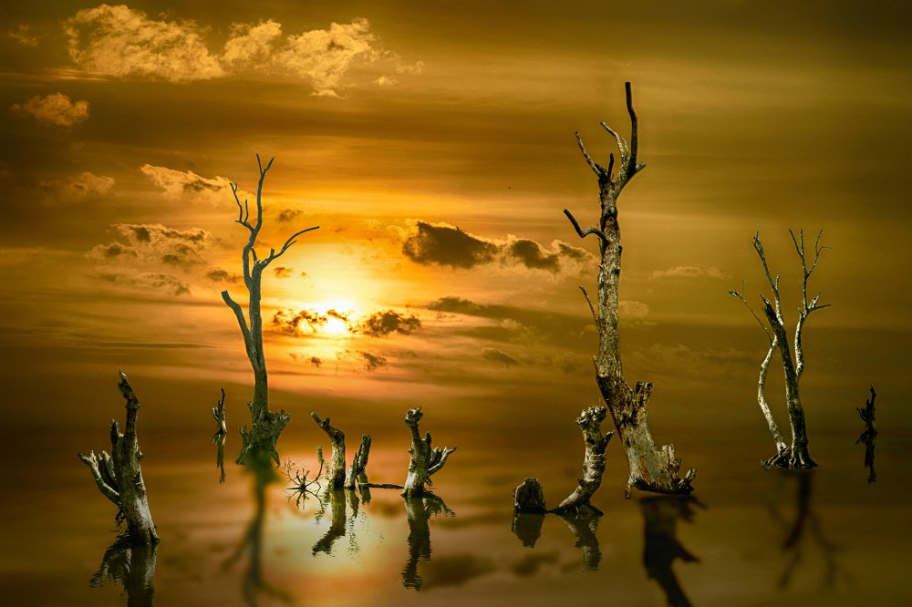 Bình minh nơi cửa Biển