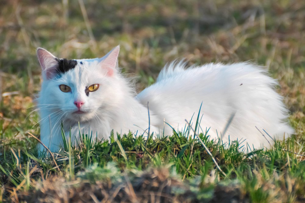 Photograph by Кадырова Анастасия