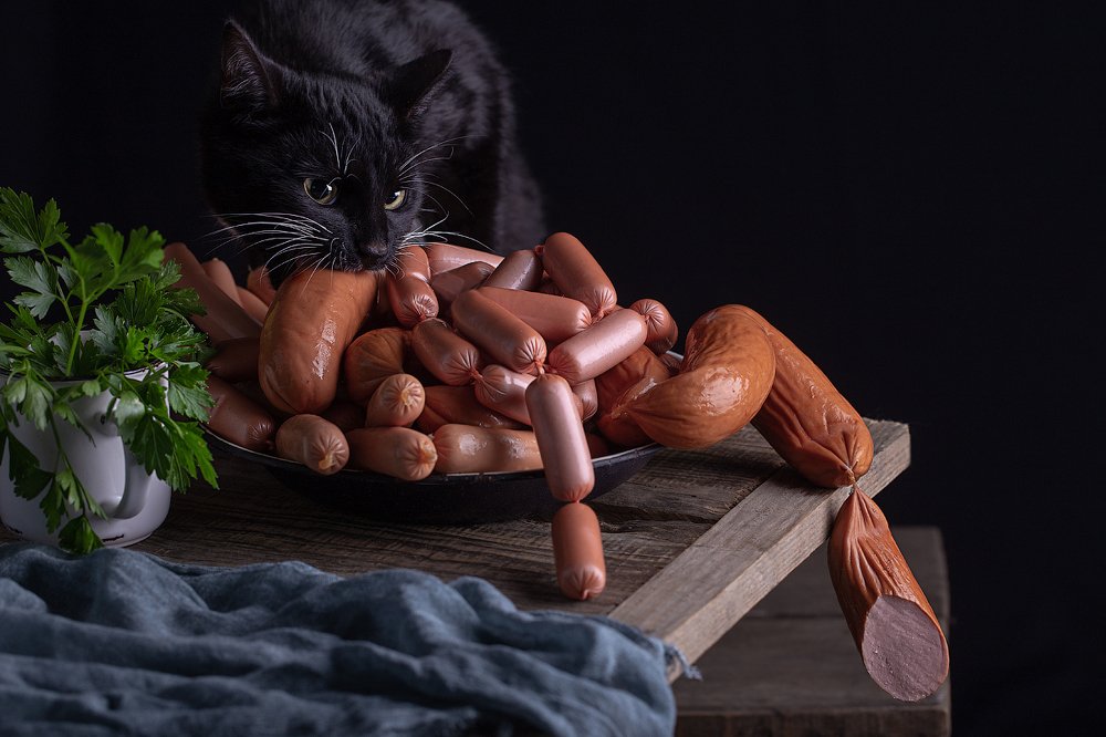 Черный кот ест сардельку