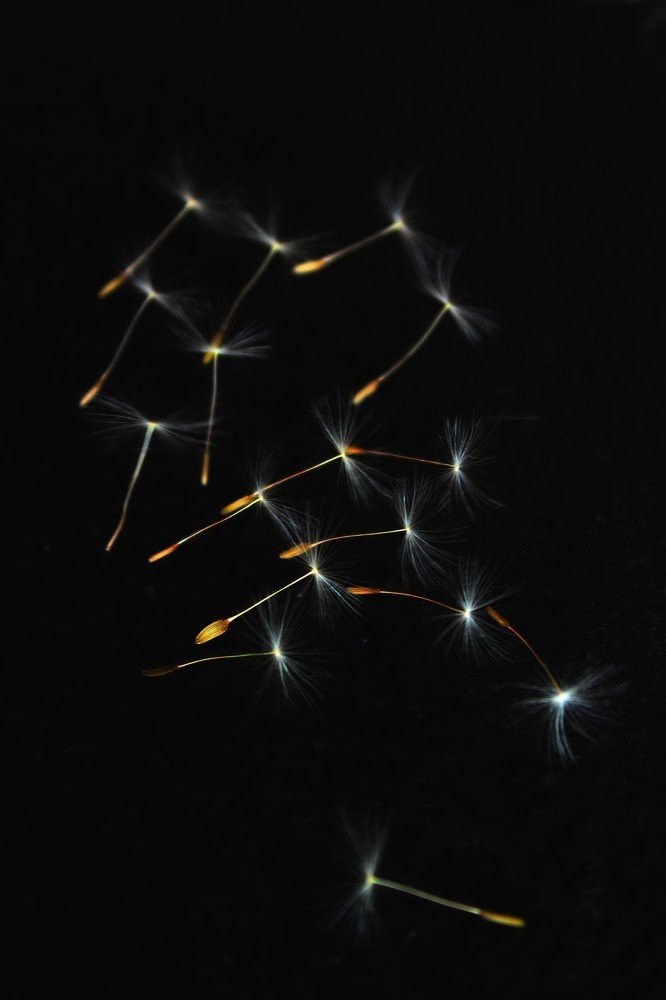 Другое мнение.