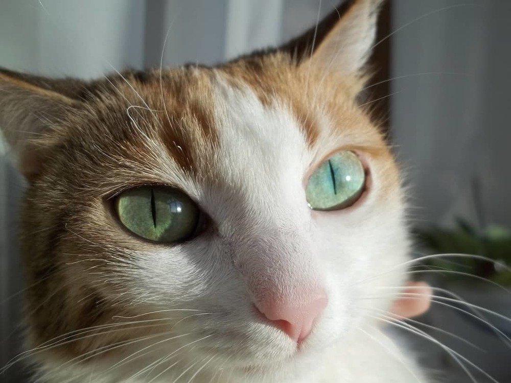 Photograph by Дмитрий Веденский