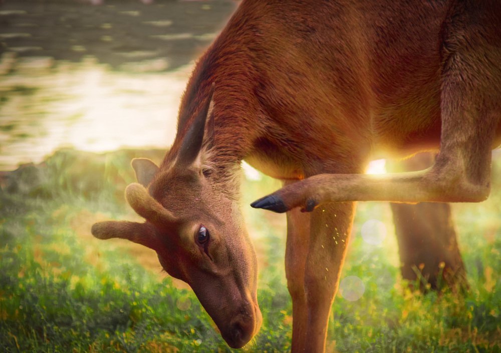 Photograph by Farshid