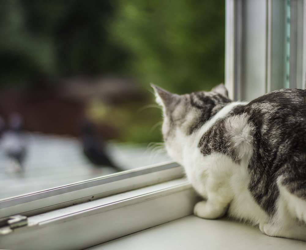 Photograph by Мария