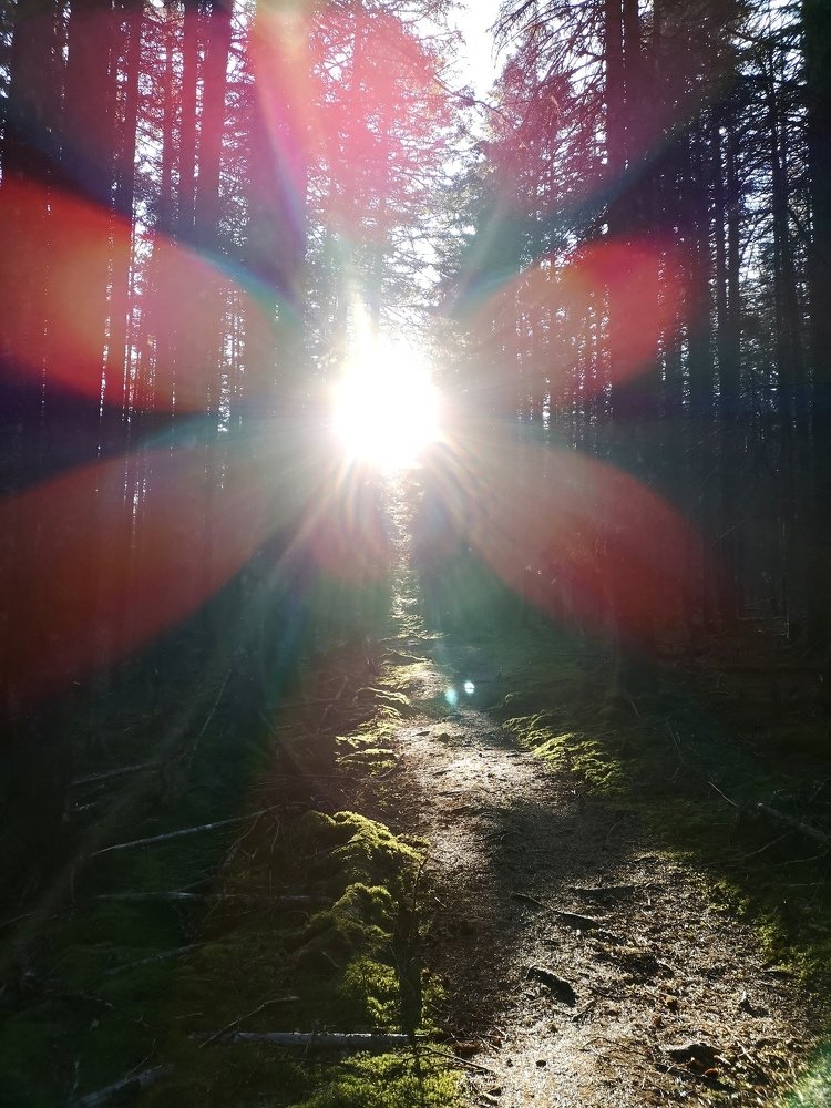 Тропа в светлое будующее