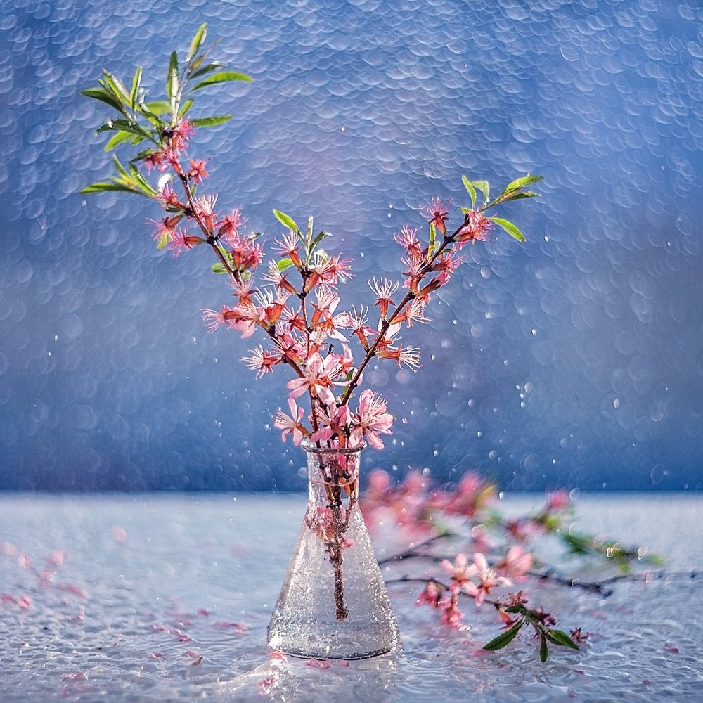 Нежно-розовый