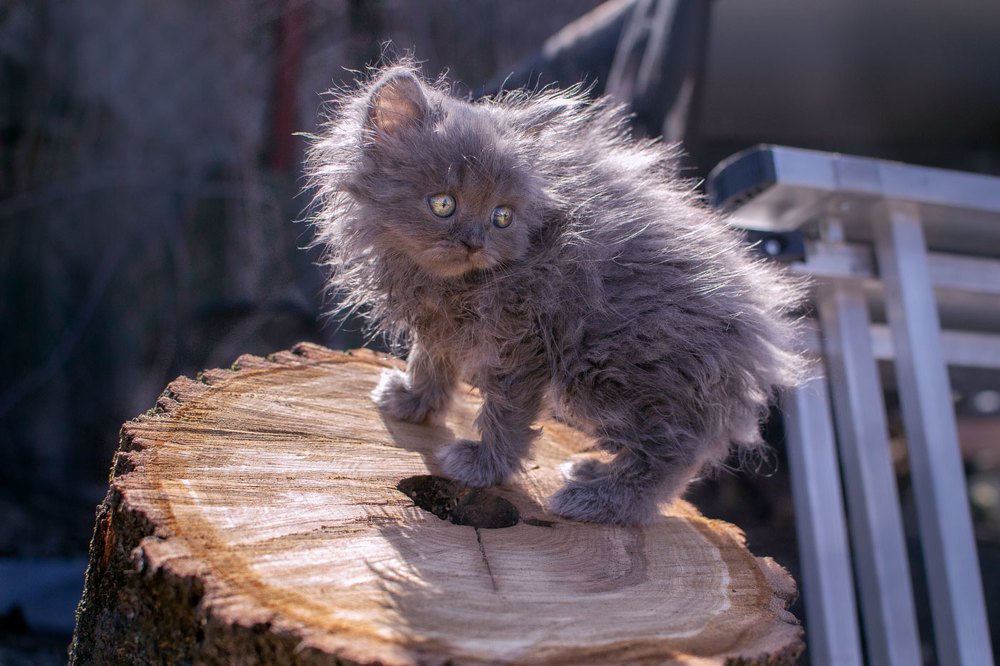 Photograph by Марина Згоник