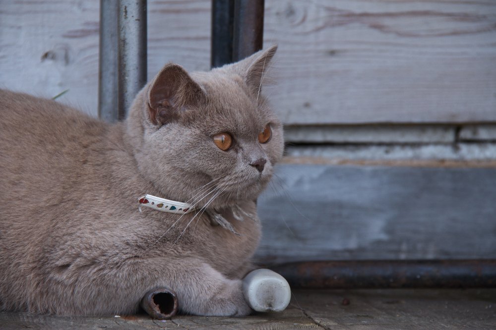 Photograph by Алёна Гильмуллина