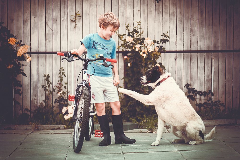 Photograph by Людмила Кузьменко