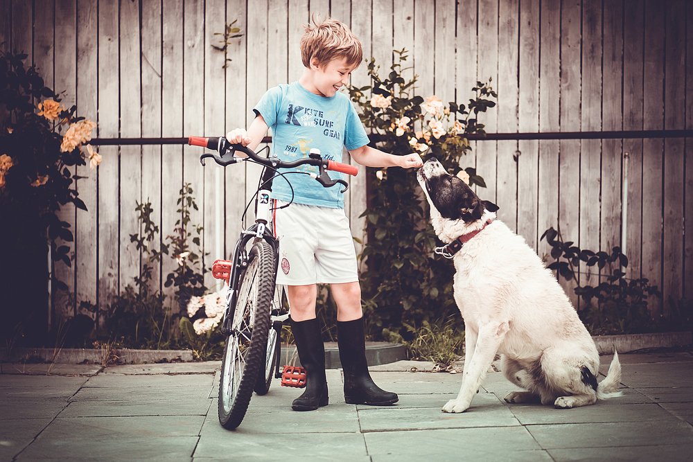 Photograph by Людмила Кузьменко