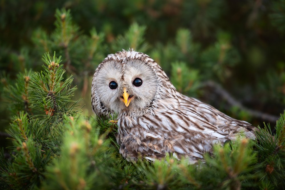 Photograph by Юлия Борт