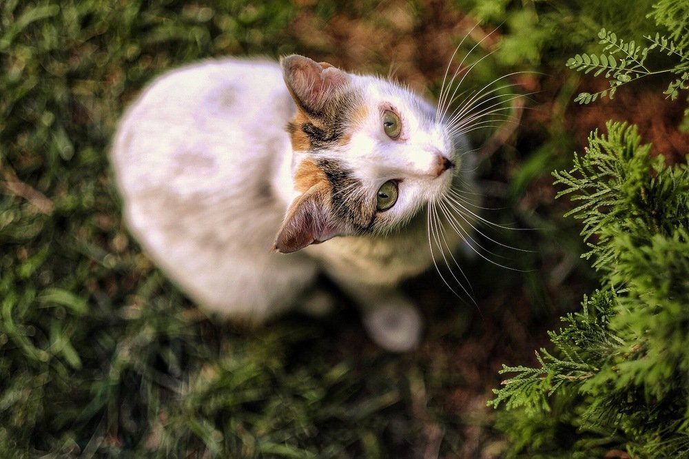 Photograph by Реутская Юлия