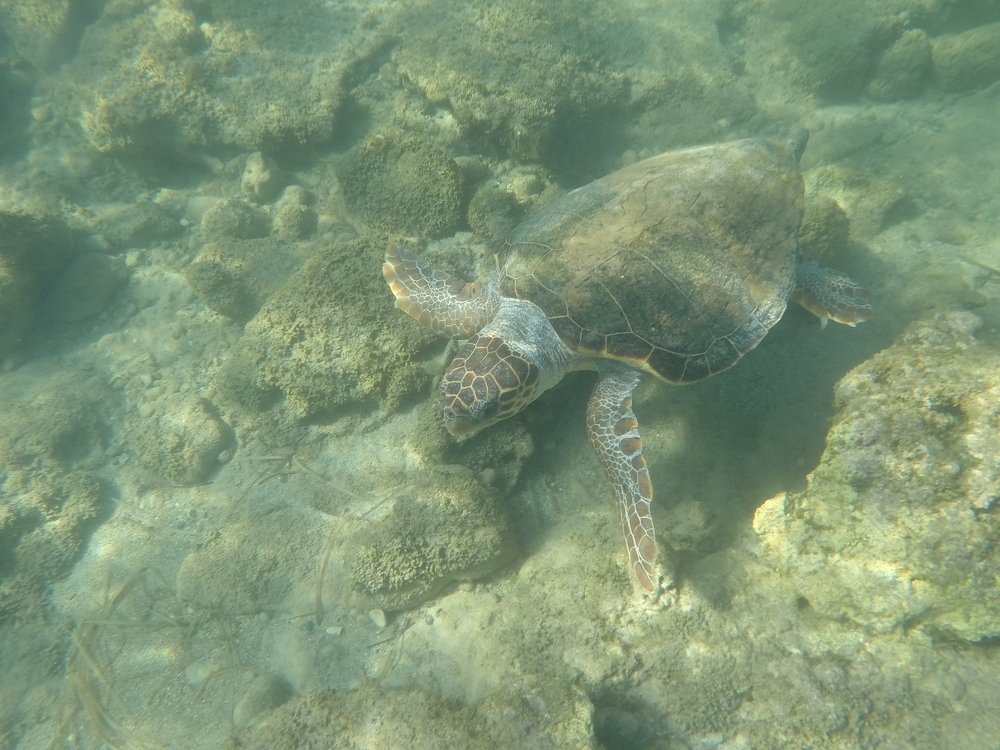 Подводный мир