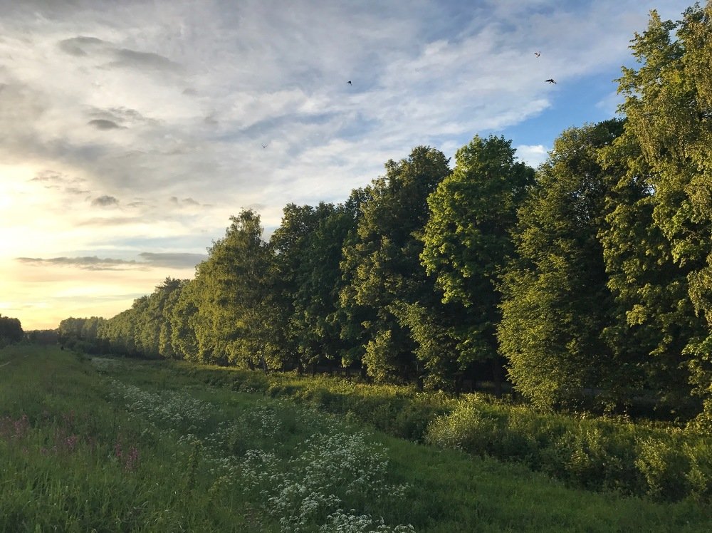 Закат в Подмосковье