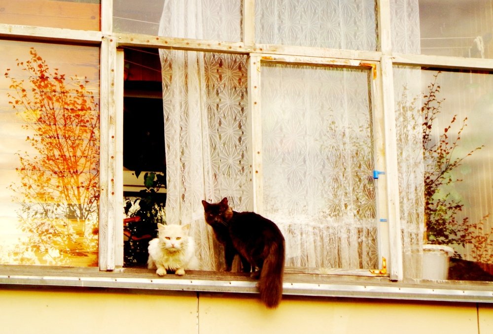 Ох, уж эти люди...