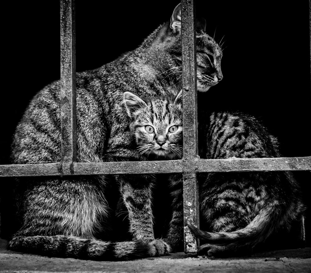 Рядом с мамой не так страшно