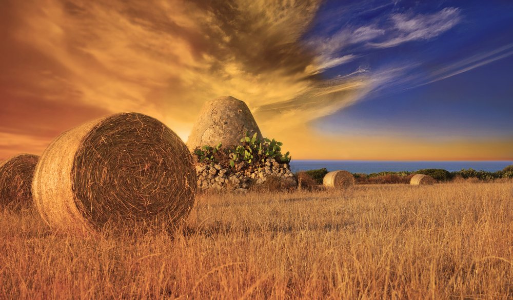 Photograph by Maurizio Ciccolella