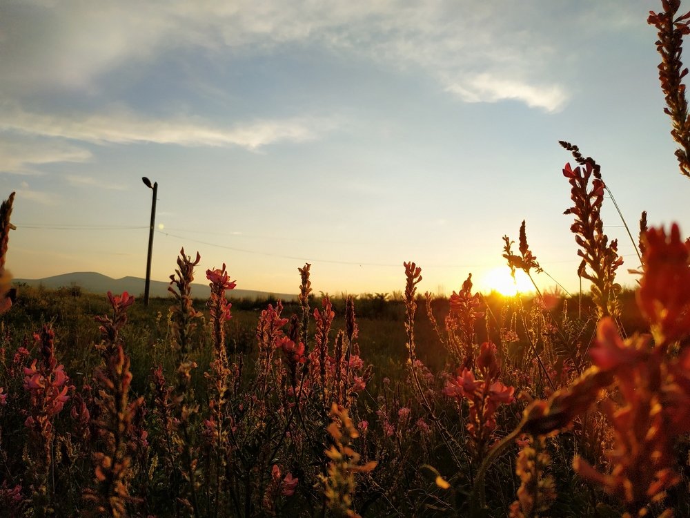 Photograph by Джемма Манукян