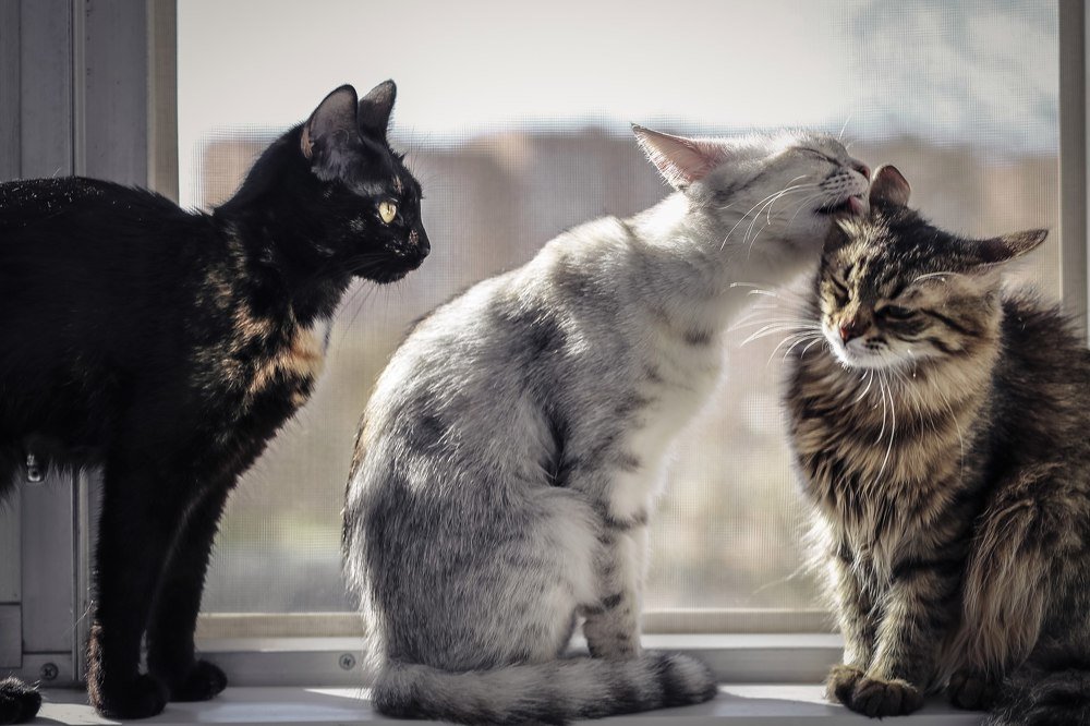 Photograph by Александра Соколова