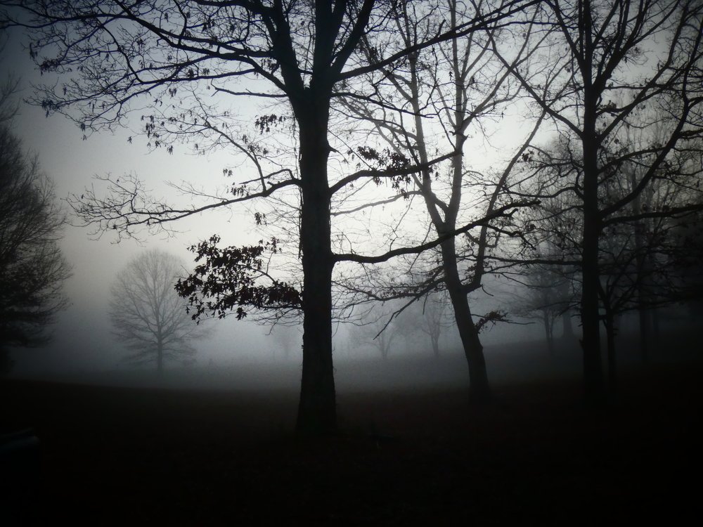 Туманное утро.