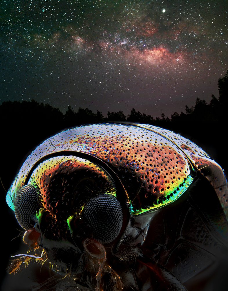 Close up and infinity