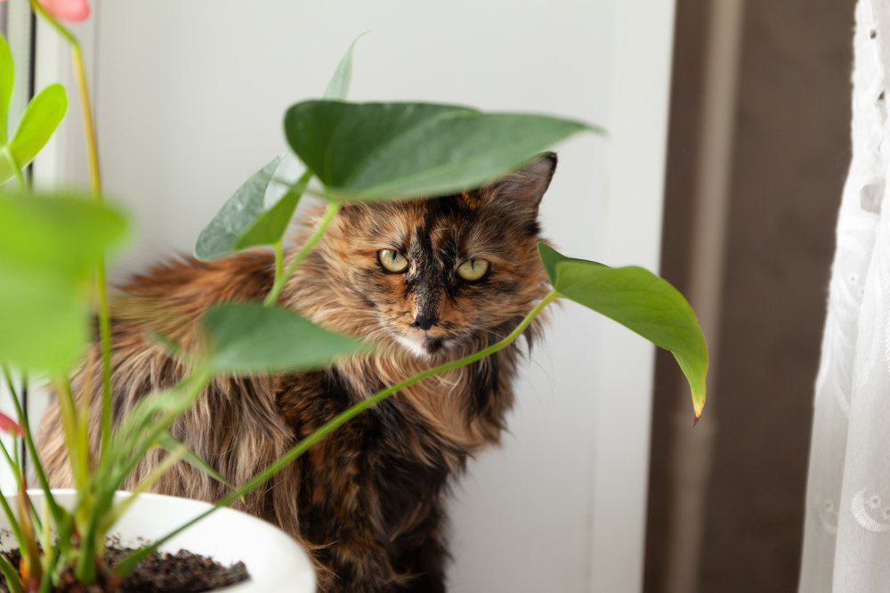 Photograph by Сергей Савчук