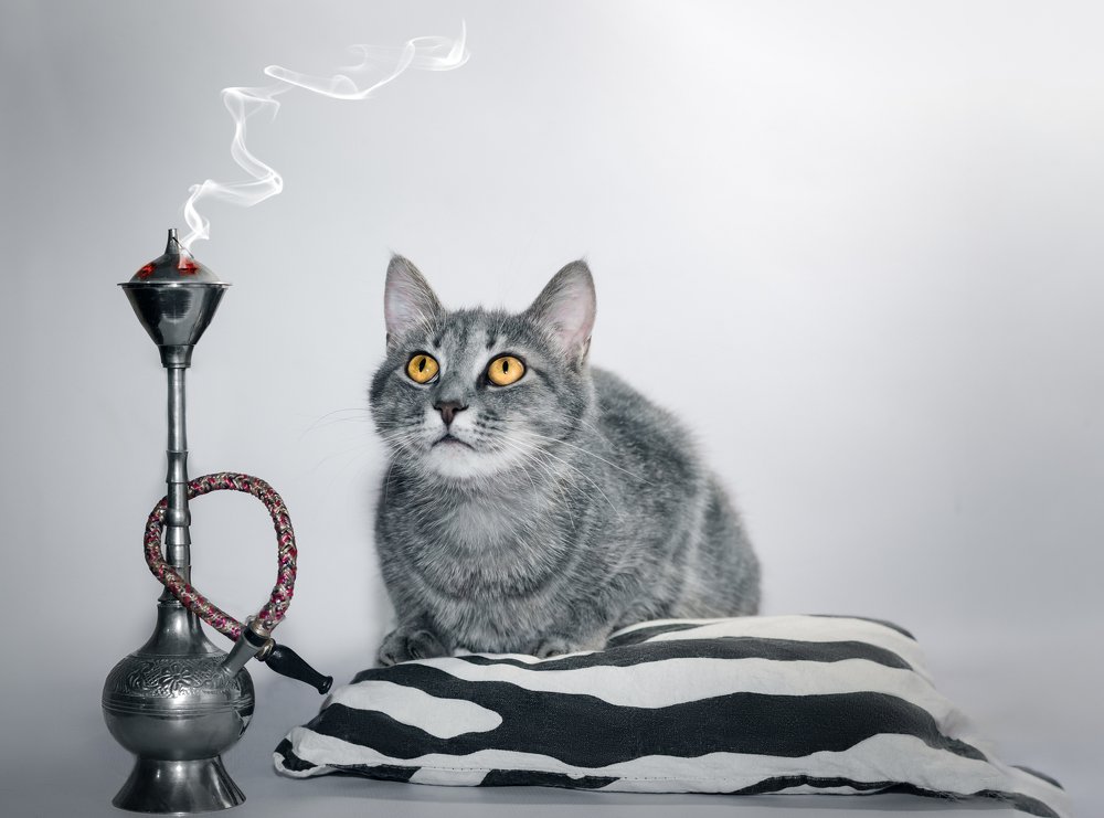 Минздрав предупреждает