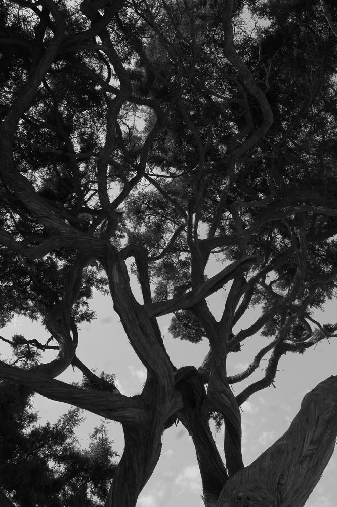 Photograph by Liza Kadochnikova