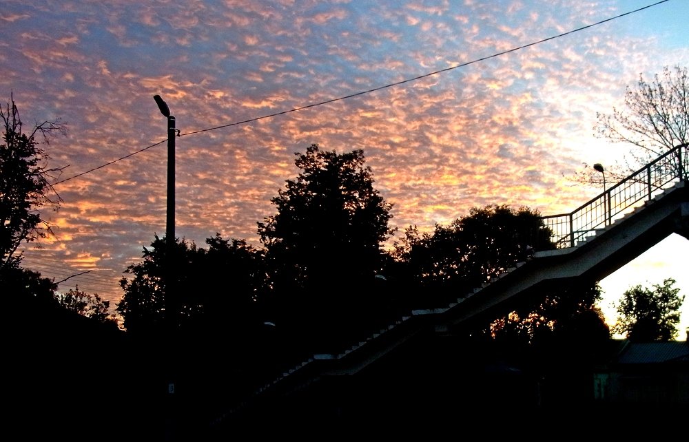 Photograph by леонид натапов